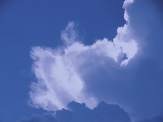 2006200