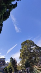 1000008913