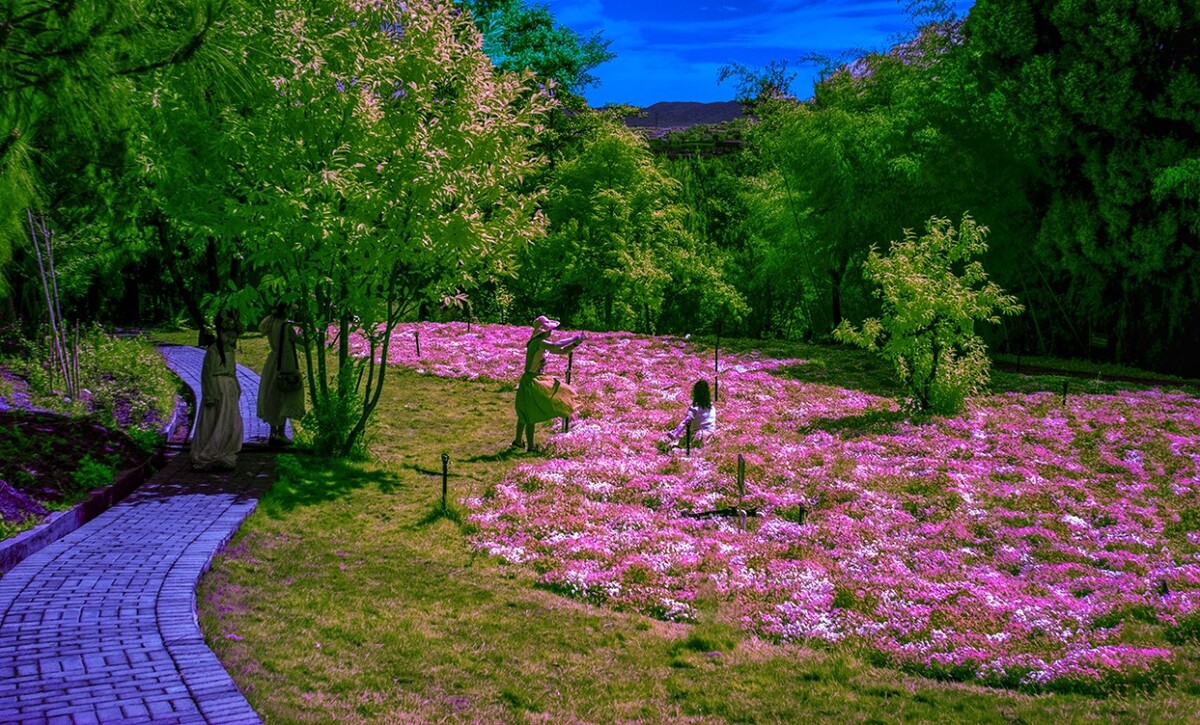 山间景色美，花舞一山春。春光浓似酒，早已醉游人。