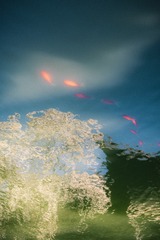 1000088395