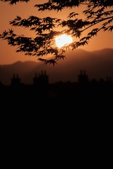 9B786B38-CC94-4223-B149-D6F8F8CB7AC8/L0/001