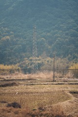 882BA750-7BDD-4790-95E5-9AB557042FE6/L0/001