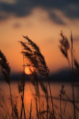 81F5303E-7E17-4F66-93B6-6480EE8BFABD/L0/001