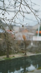 4A00E98D-8CAA-4560-8D25-90E04788B379/L0/001