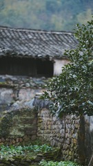 C8E15961-03DD-4E4C-9C84-79EFB69C3F92/L0/001