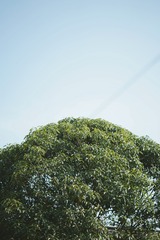 4D876C25-D69D-4B2D-B7EB-DB9BC8ECA078/L0/001