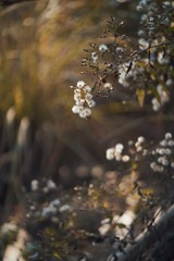 C039085A-C3E8-457F-B6DF-60330EFB2C68/L0/001
