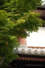 EA5A2A64-E806-4CE3-B055-48E87F6EC960/L0/001