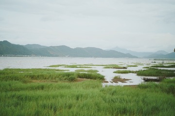 3994EA93-E1F9-400B-8F3B-D1ADCD667884/L0/001