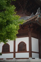 BB39C492-9630-4AB0-B944-A6302179CA9D/L0/001