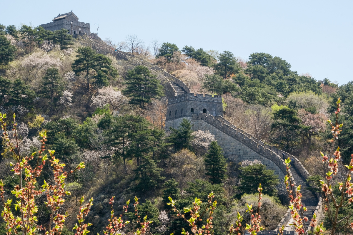 春天里的长城