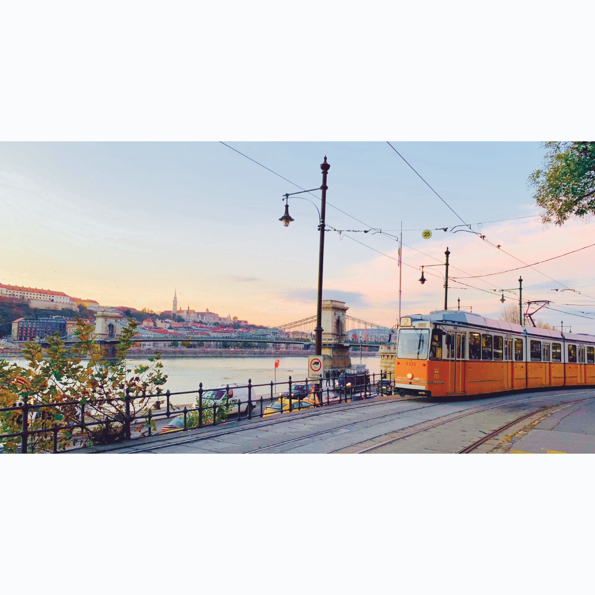 苏三要好好学英语