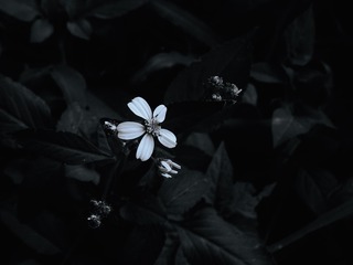 993319