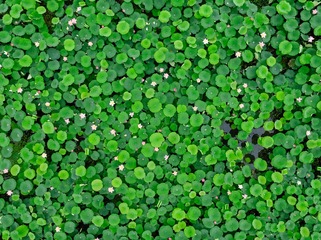 DJI_0053