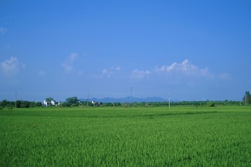 A1B1FD6C-6A83-4130-B152-6BD281739F2D/L0/001