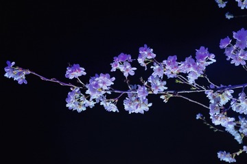 994DE2EB-31A2-40F1-B7E2-EC4495411679/L0/001