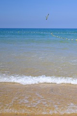 5A106B1B-F407-4E04-AE56-D966B95589F3/L0/001