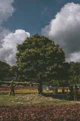 374035