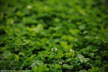 IMG_3220ps.jpg