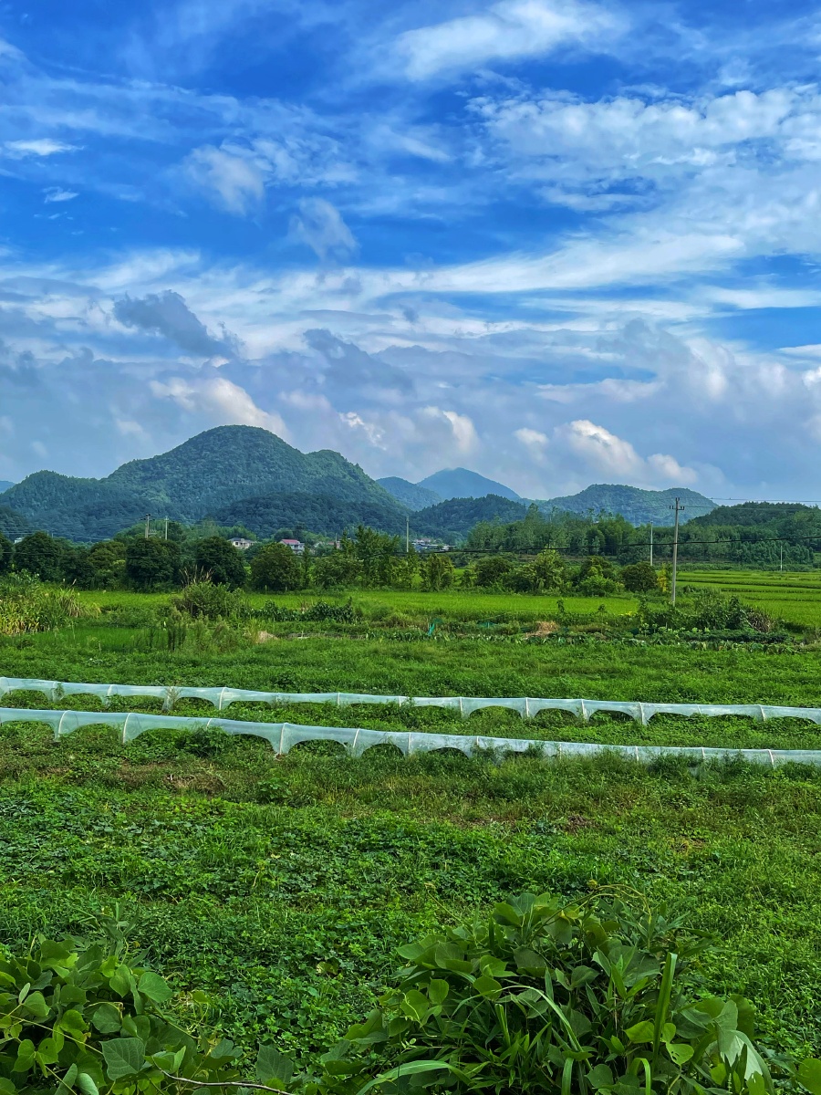乡村