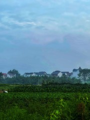 46C7BE3B-F9EA-4975-88BA-03C150CE9AF8/L0/001