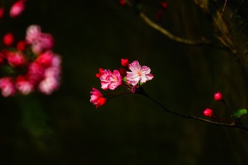 18048