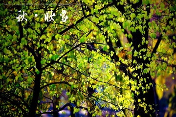 IMG_5967.jpg