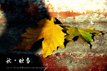 IMG_5829.jpg