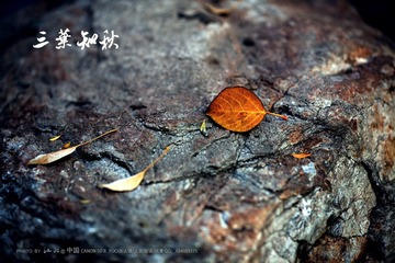 IMG_5920.jpg