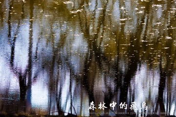 IMG_7734-1.jpg