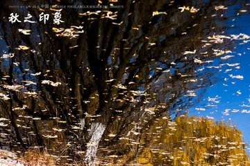IMG_7730-1.jpg