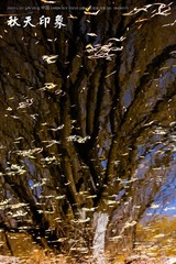 IMG_7731-1.jpg
