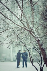 IMG_0120.jpg