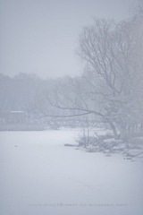 IMG_0130.jpg
