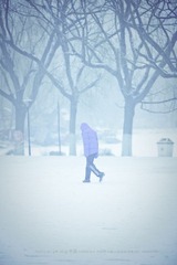 IMG_0155.jpg