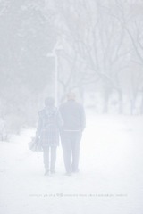 IMG_0160.jpg