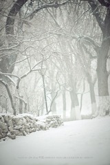 IMG_0238.jpg