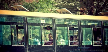IMG_8292-1.jpg