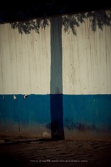 IMG_8308-1.jpg