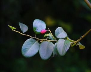 16527C6E-14D4-40D1-89E7-C70D008AE93F/L0/001