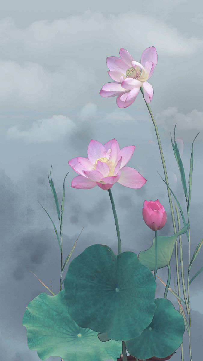 写意荷花