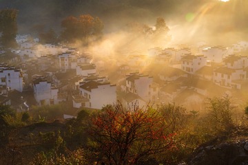 2680363