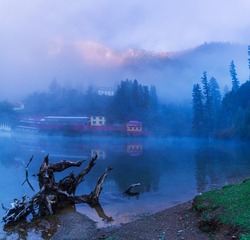 2680134