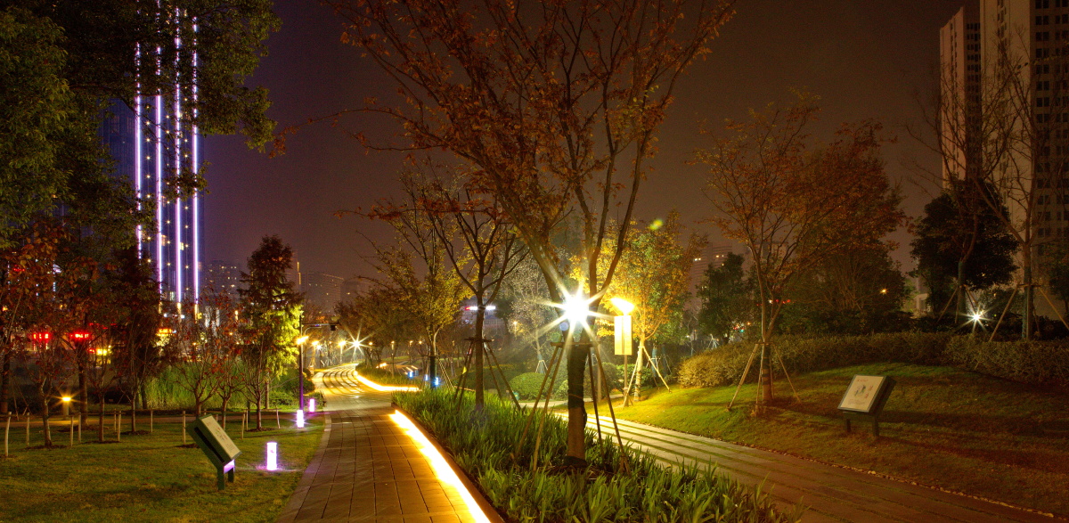 中央艺术公园夜景