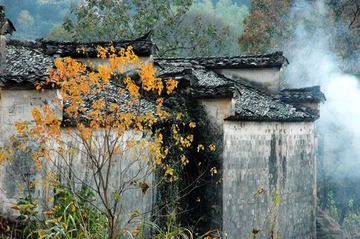 DSC_6284z
