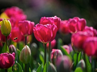 4月赛－春天的颜色1.jpg