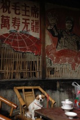 小茶客