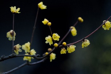 IMG_2691.jpg