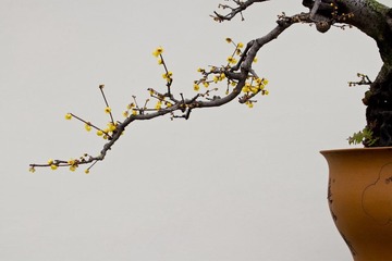 IMG_2728.jpg