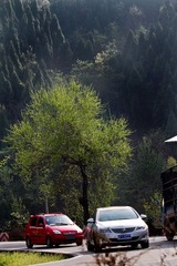 IMG_3654.jpg